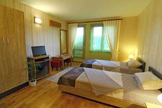Отель Hotel Asenevtsi Велико-Тырново Двухместный номер с 2 отдельными кроватями и балконом-3